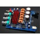 TPA 3116D2 HiFi 2.1
